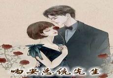 吻安总统先生txt下载