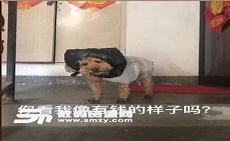 没有理由永彬ryan歌词