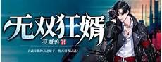 上门女婿人物介绍表
