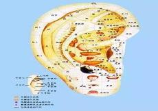 耳穴压豆疼痛的原因